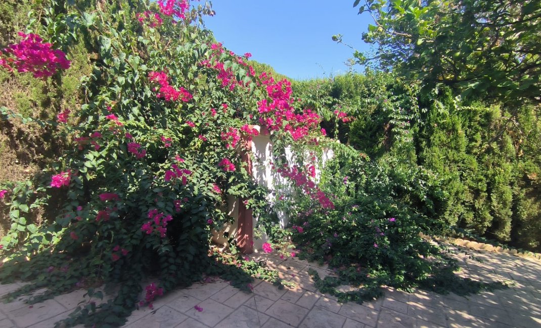 Reventa - Chalet / Villa  -
Benidorm