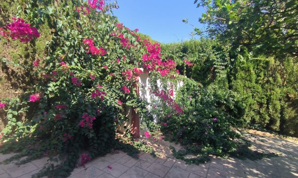 Reventa - Chalet / Villa  -
Benidorm