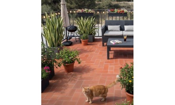 Resale - Apartment / flat -
Alfaz del Pi - Alfas del Pí