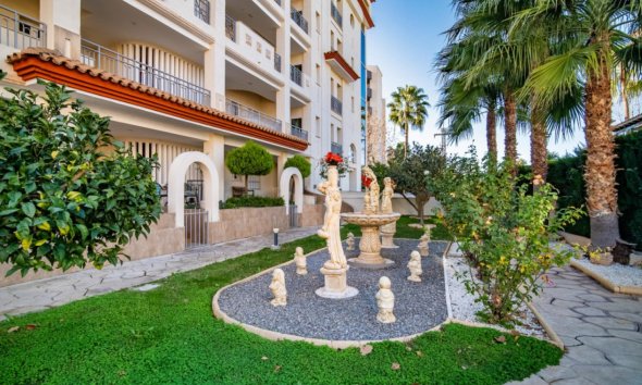 Reventa - apartment -
Albir