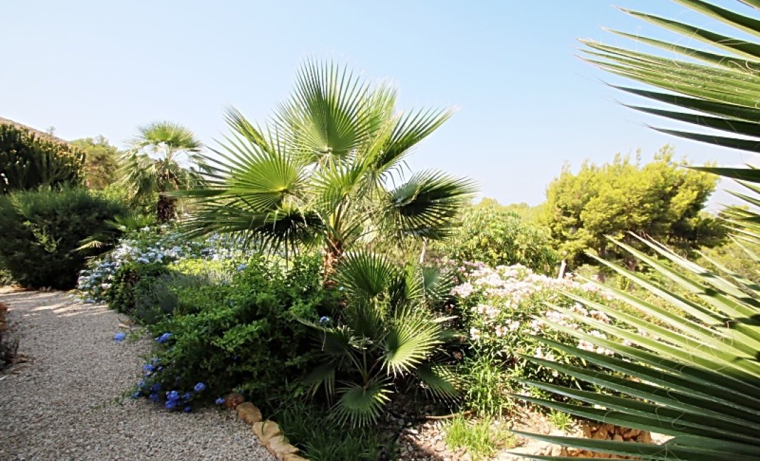 Revente -  Chalet / Villa -
Albir