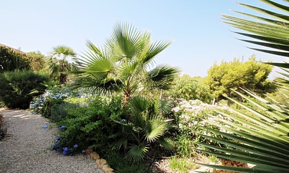 Revente -  Chalet / Villa -
Albir