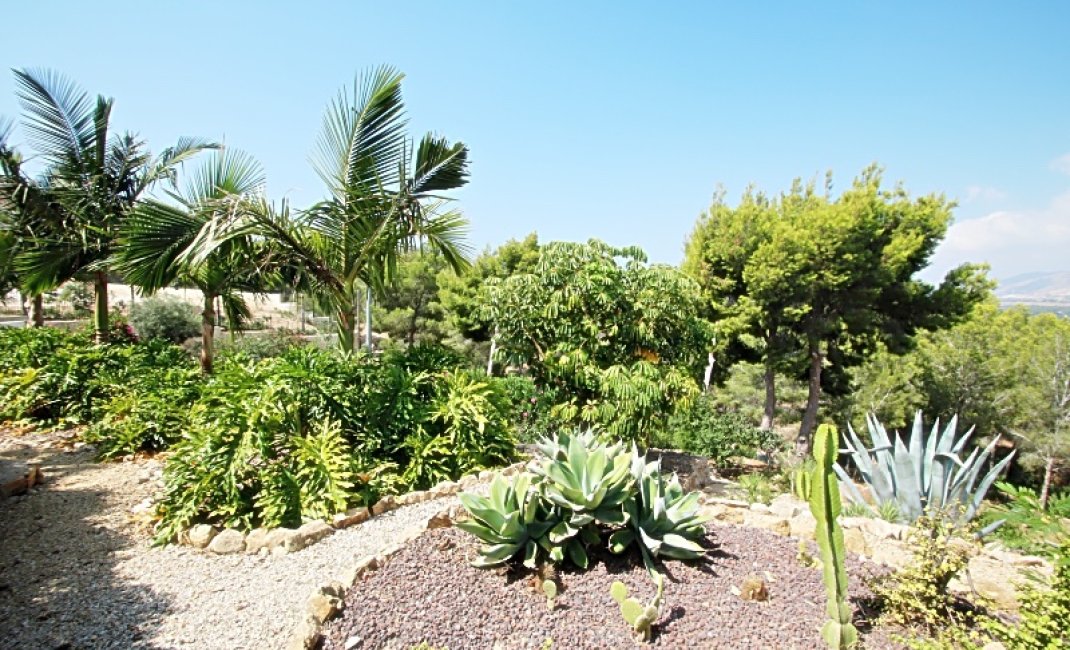 Revente -  Chalet / Villa -
Albir