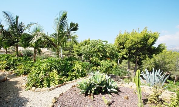 Revente -  Chalet / Villa -
Albir