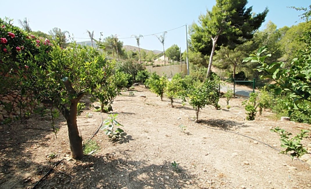 Revente -  Chalet / Villa -
Albir