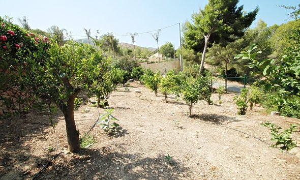 Revente -  Chalet / Villa -
Albir