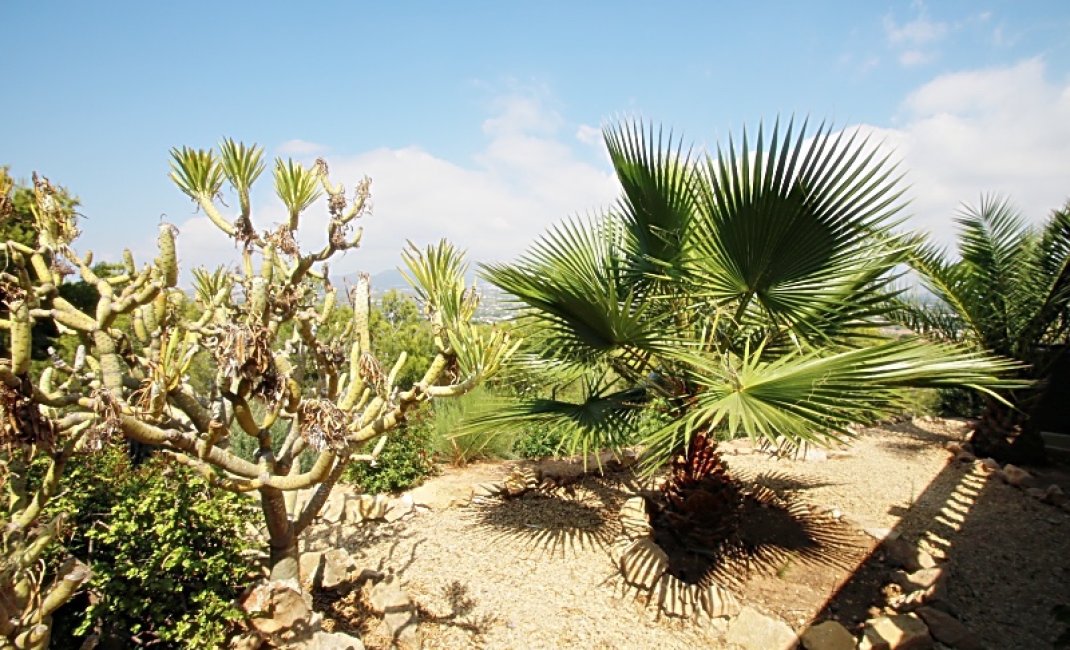 Revente -  Chalet / Villa -
Albir