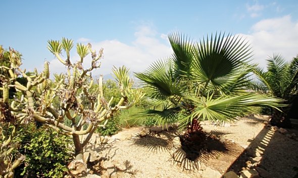 Revente -  Chalet / Villa -
Albir