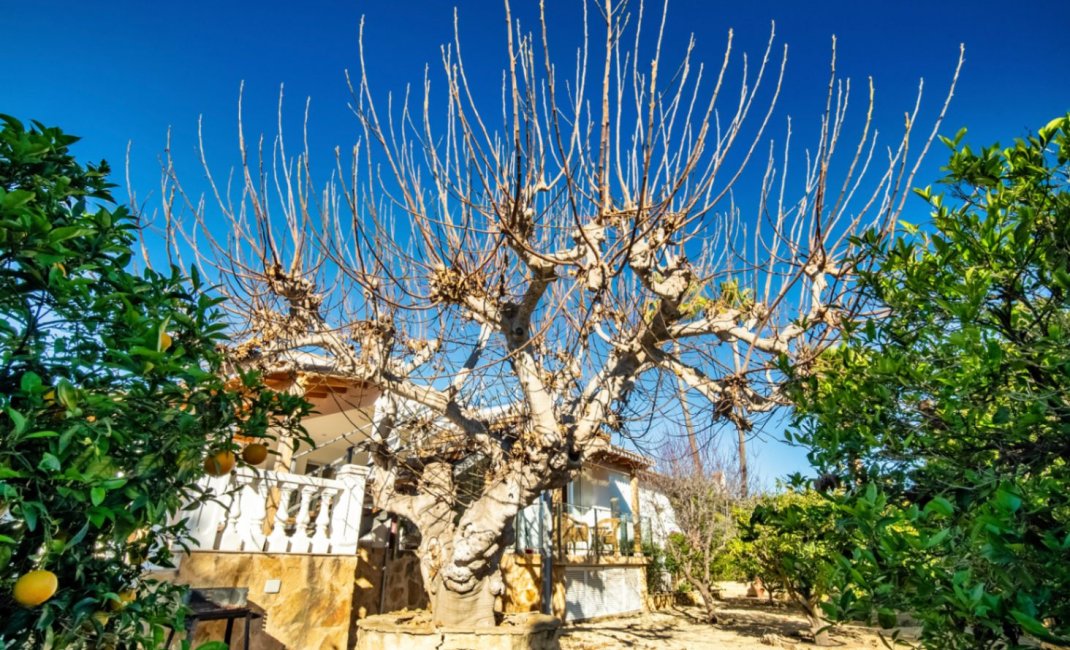 Resale - Villa -
Alfaz del Pi - El Romeral