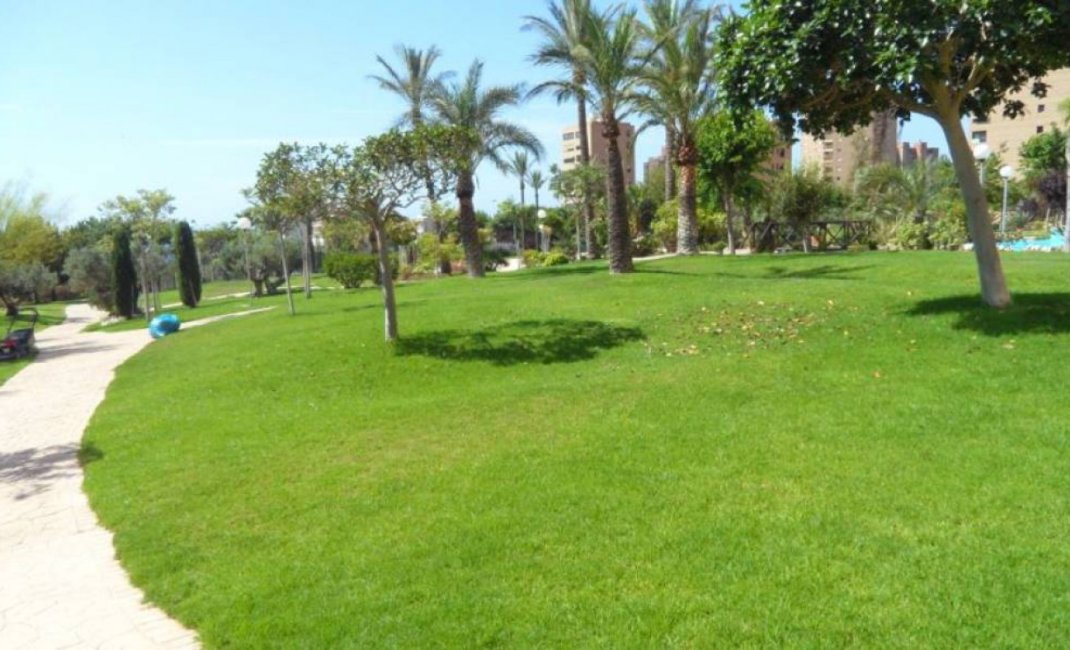 Resale - Apartment / flat -
Benidorm - Poniente