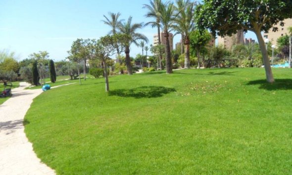 Resale - Apartment / flat -
Benidorm - Poniente