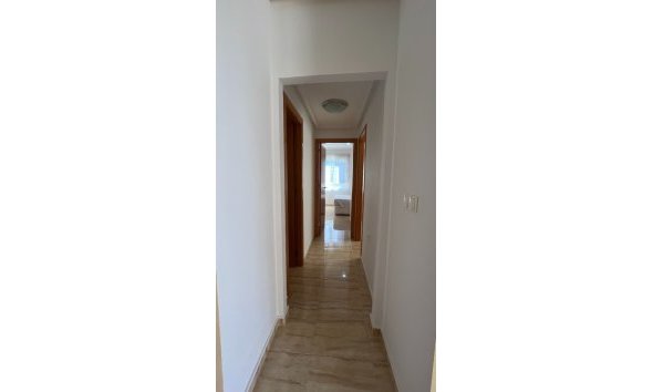 Short Term Rental - Apartment / flat -
Benidorm - Via Parque