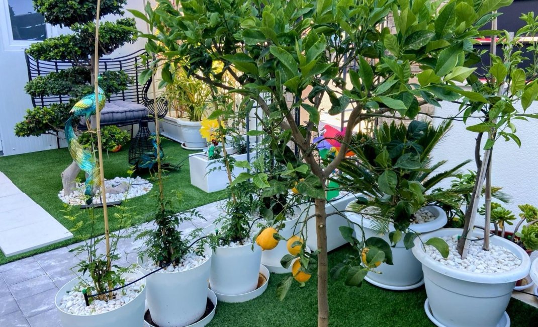 Videresalg - Villa -
Finestrat