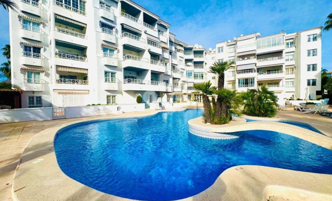 Location à long terme - Appartement -
Albir