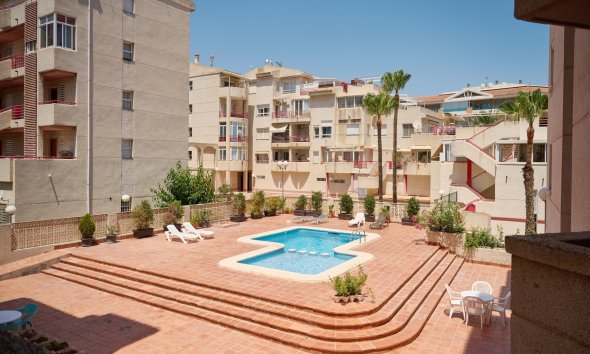 Alquiler corta estancia - Apartamento / Piso -
Albir