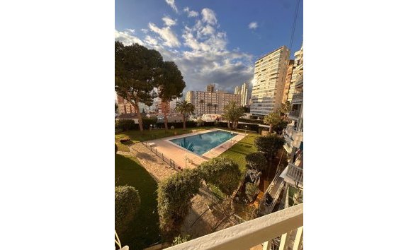 Short Term Rental - Apartment / Flat -
Benidorm