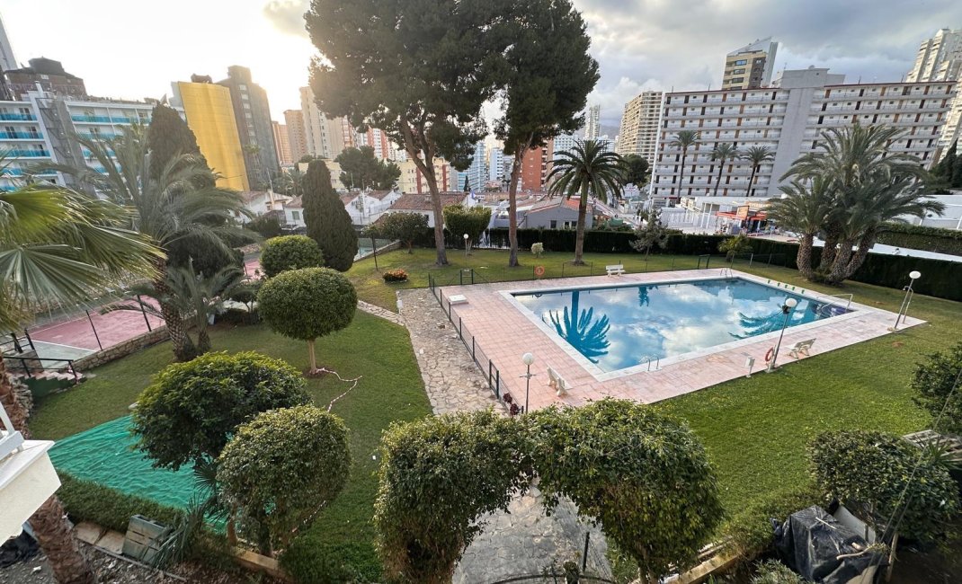 Short Term Rental - Apartment / Flat -
Benidorm