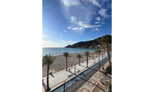 Resale - Apartment / Flat -
Albir