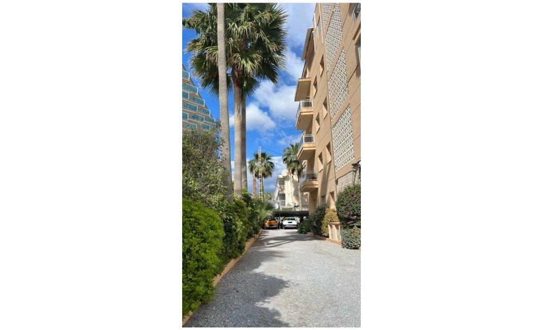 Resale - Apartment / Flat -
Albir
