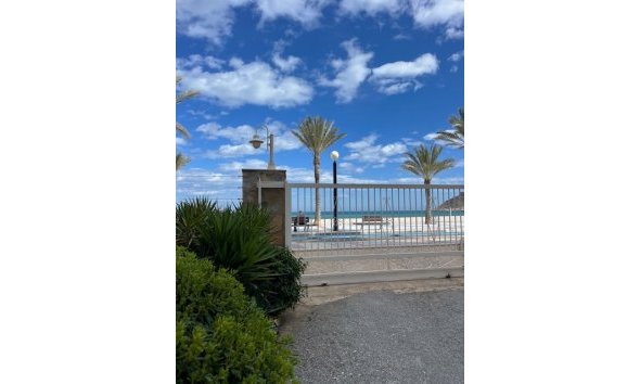 Resale - Apartment / Flat -
Albir