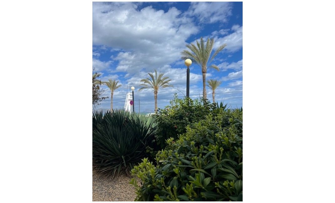 Resale - Apartment / Flat -
Albir