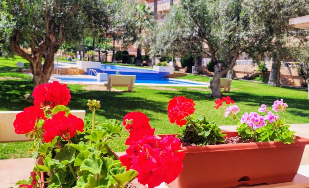 Reventa - Ático -
Albir