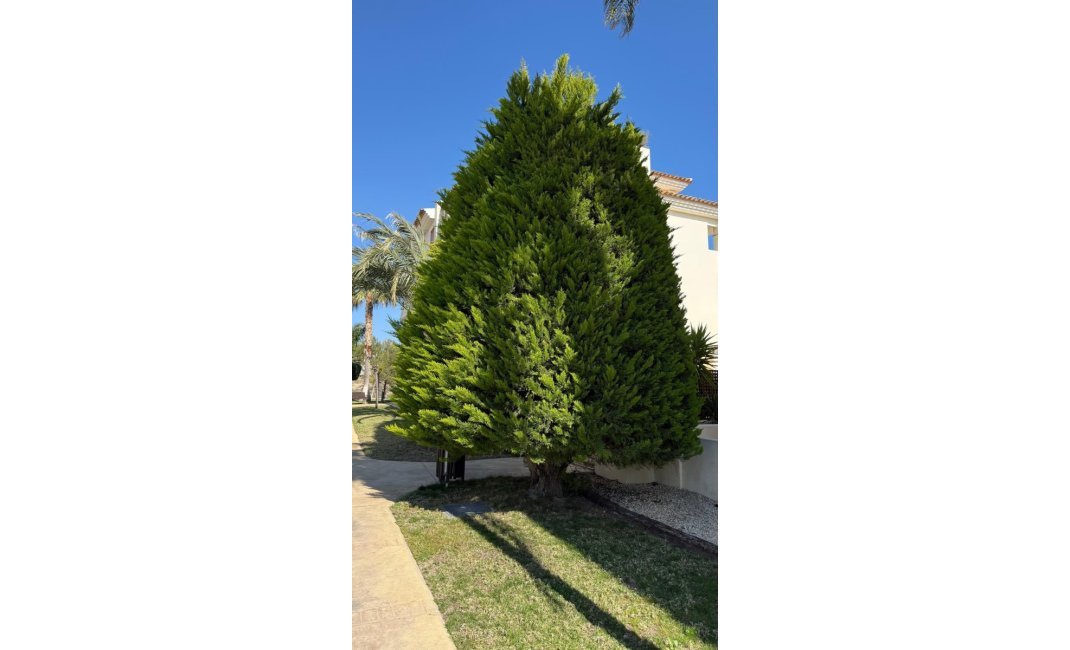 Reventa - DÚplex -
Finestrat