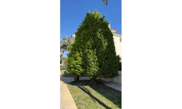 Reventa - DÚplex -
Finestrat