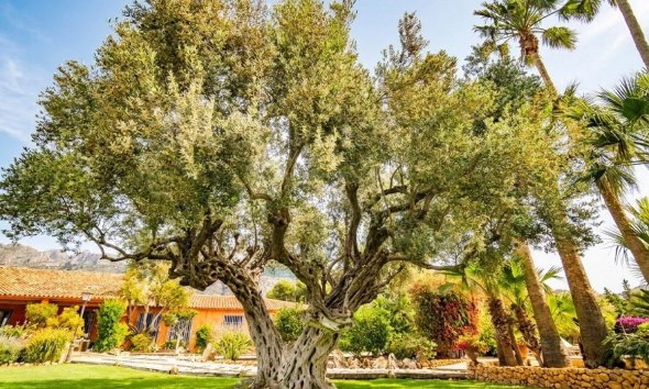 Reventa - Villa -
Altea - Altea la Vella
