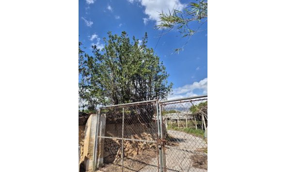 Resale - Rustic Country Property -
La Nucía