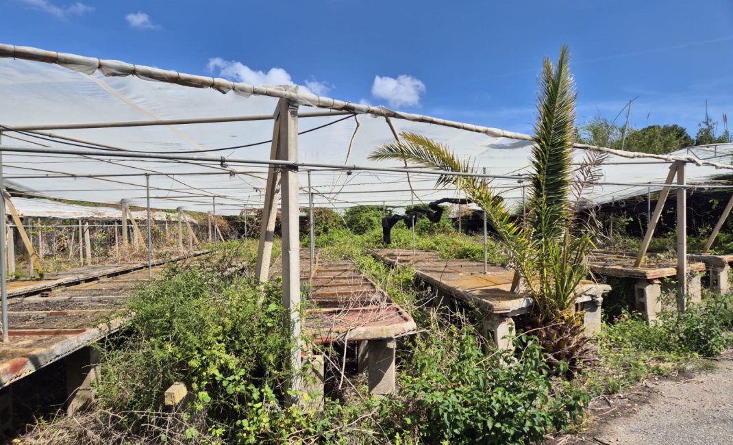 Resale - Rustic Country Property -
La Nucía
