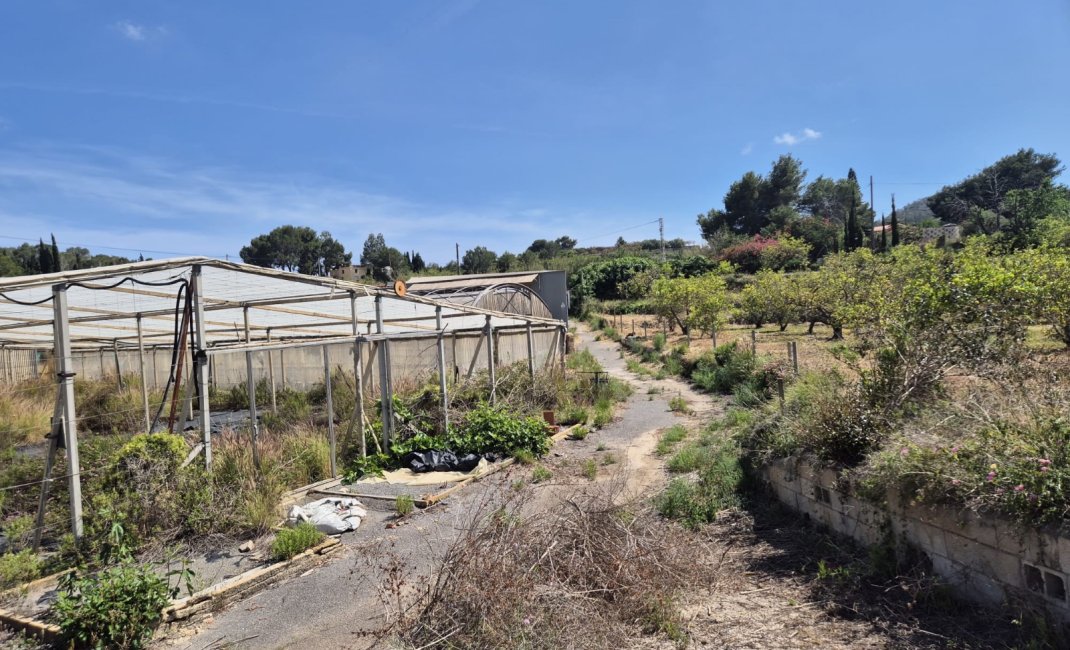 Resale - Rustic Country Property -
La Nucía