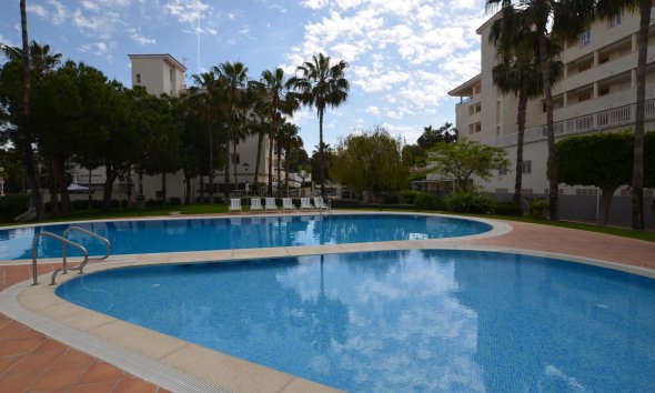 Resale - Apartment / Flat -
Albir