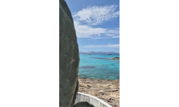 Obra nueva - Chalet / Villa  -
Formentera