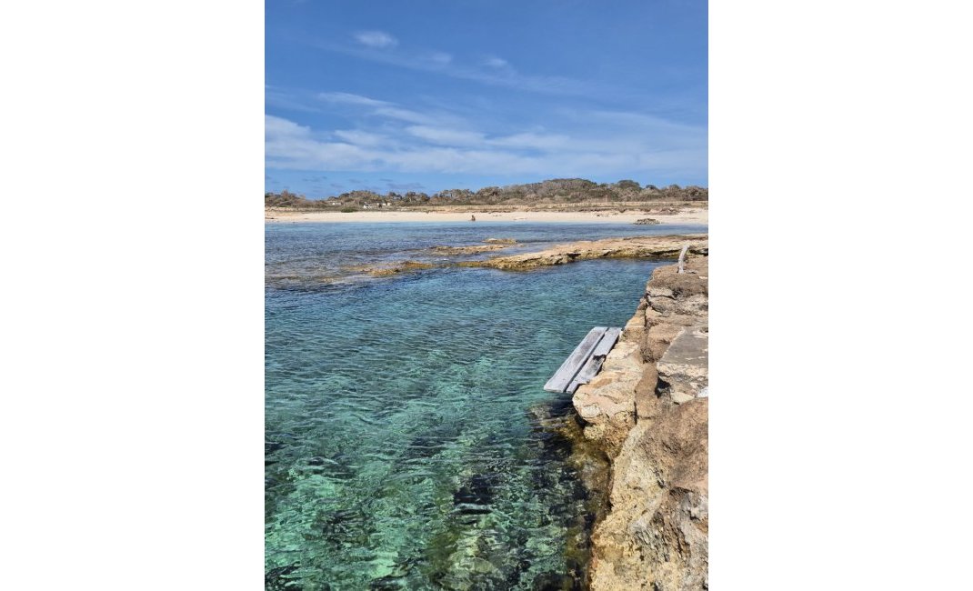 Obra nueva - Chalet / Villa  -
Formentera
