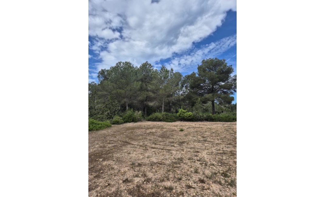 Obra nueva - Chalet / Villa  -
Formentera