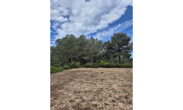 Obra nueva - Chalet / Villa  -
Formentera