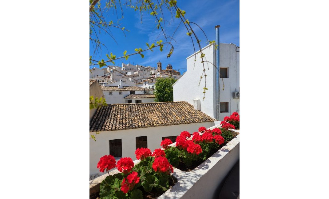 Resale - Village house -
Altea