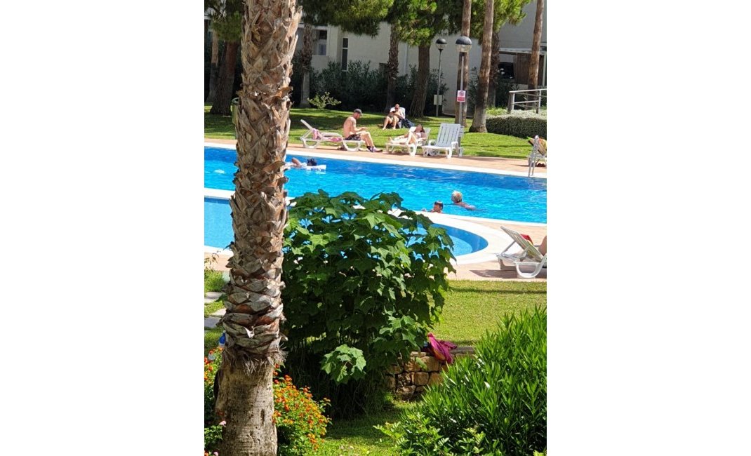 Reventa - Apartamento / Piso -
Albir