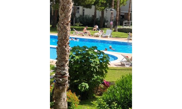 Reventa - Apartamento / Piso -
Albir