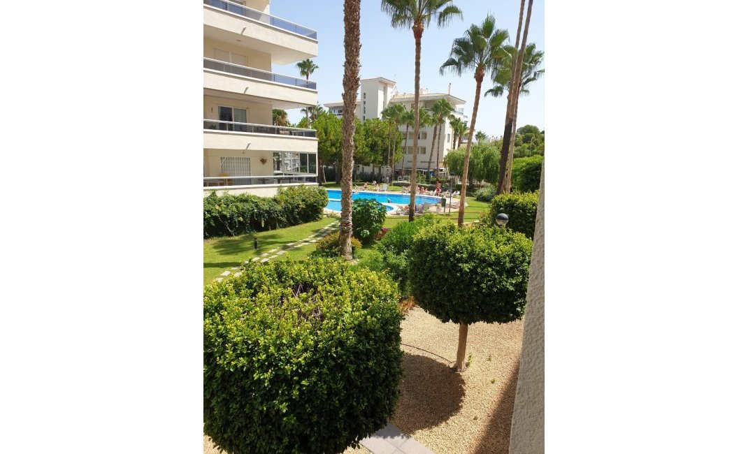 Reventa - Apartamento / Piso -
Albir