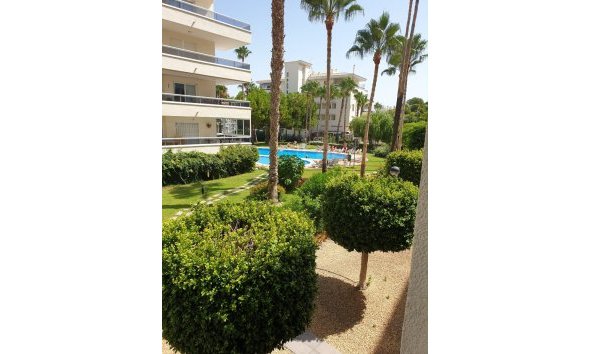 Reventa - Apartamento / Piso -
Albir