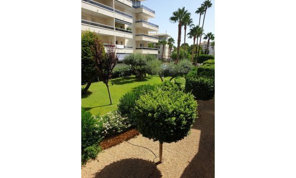 Reventa - Apartamento / Piso -
Albir