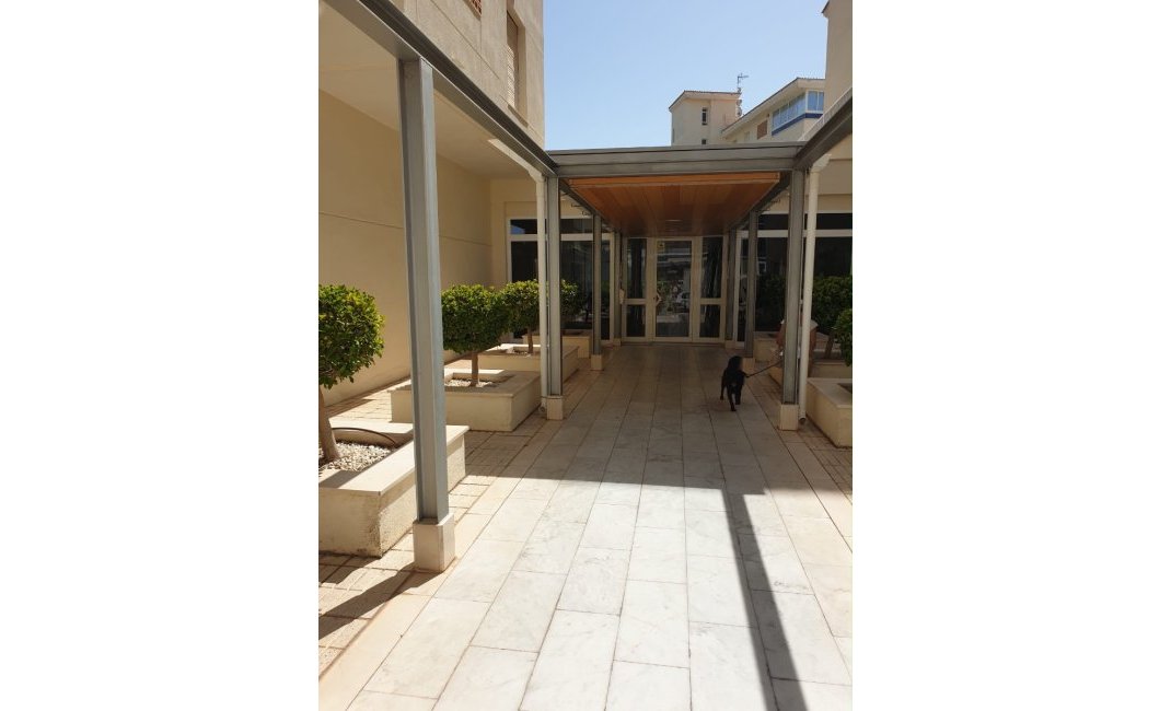 Reventa - Apartamento / Piso -
Albir