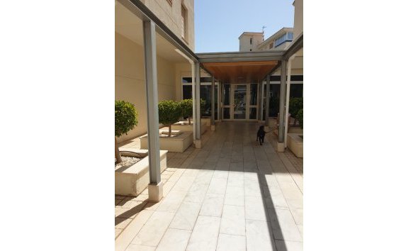 Reventa - Apartamento / Piso -
Albir