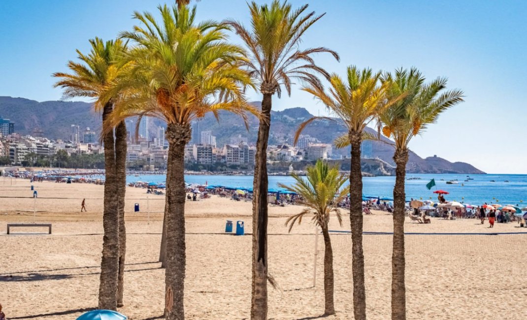 Resale - Apartment -
Benidorm - Playa de Poniente
