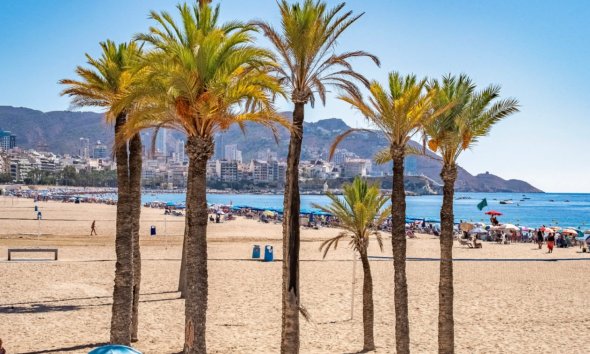 Resale - Apartment -
Benidorm - Playa de Poniente