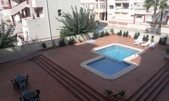 Alquiler corta estancia - Apartamento / piso -
Albir