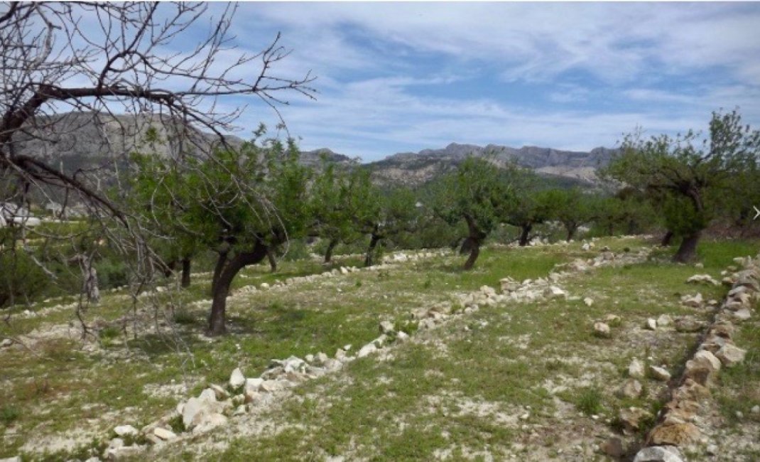 Herverkoop - Perceel / Grond -
Callosa d'en Sarrià - Callosa d En Sarrià