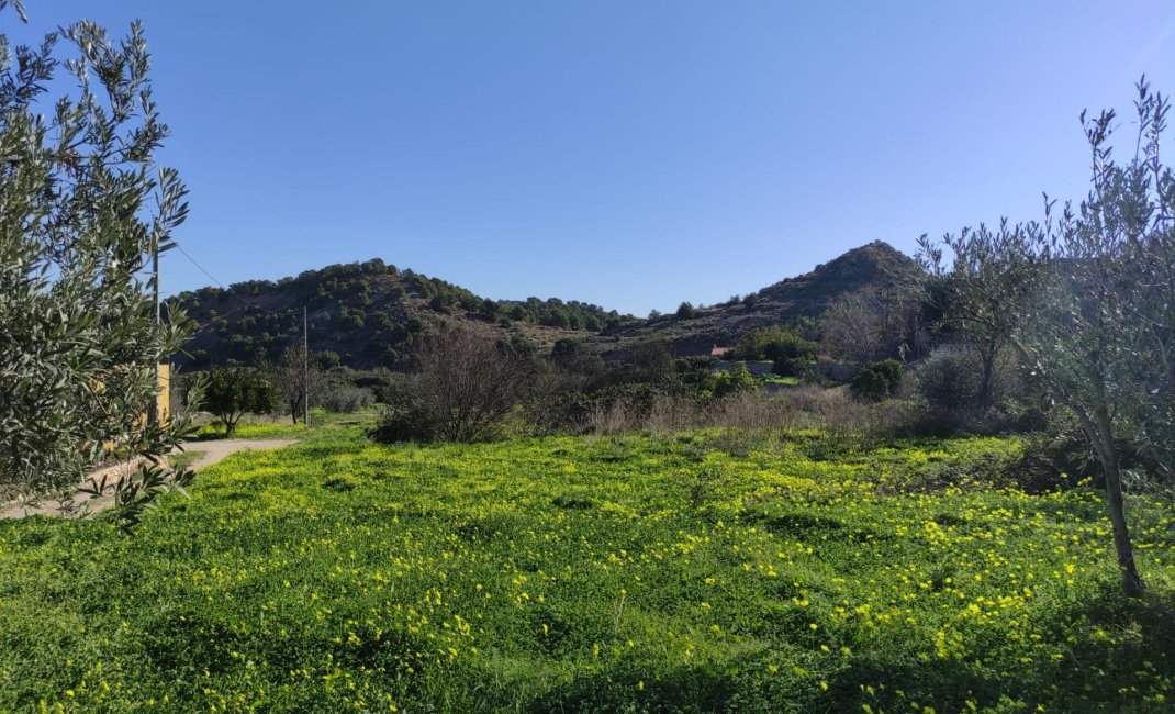 Reventa - Parcela / Terreno -
Altea - Urbanizaciones